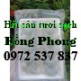 https://haisantuoingon.info/image/cache/catalog/thit tom non/z2577968961986_85f07b9c3243c468b6c659e72f4464e3-850x850-product_list.jpg